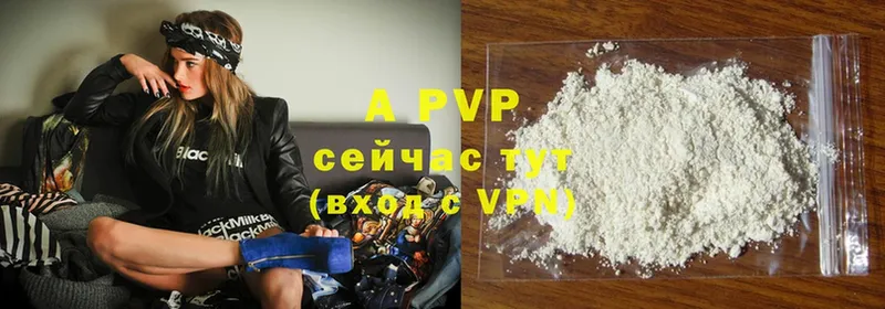 A PVP СК  OMG ТОР  Ельня 